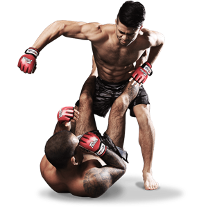 Mixed martial arts PNG, MMA PNG-70417
